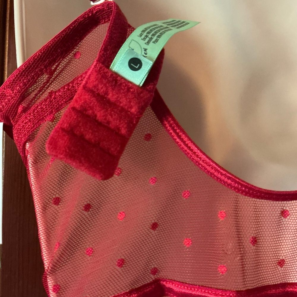 Honeydew Red Polka Dot Mesh Teddy - Picture 3 of 5